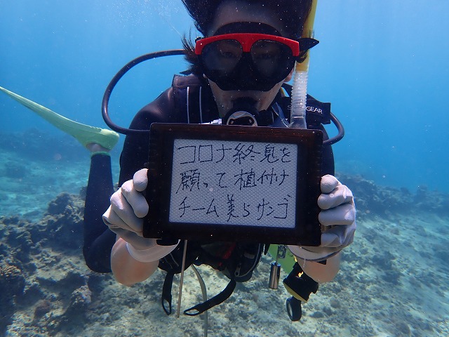 チーム美らサンゴ　サンゴ植え付け